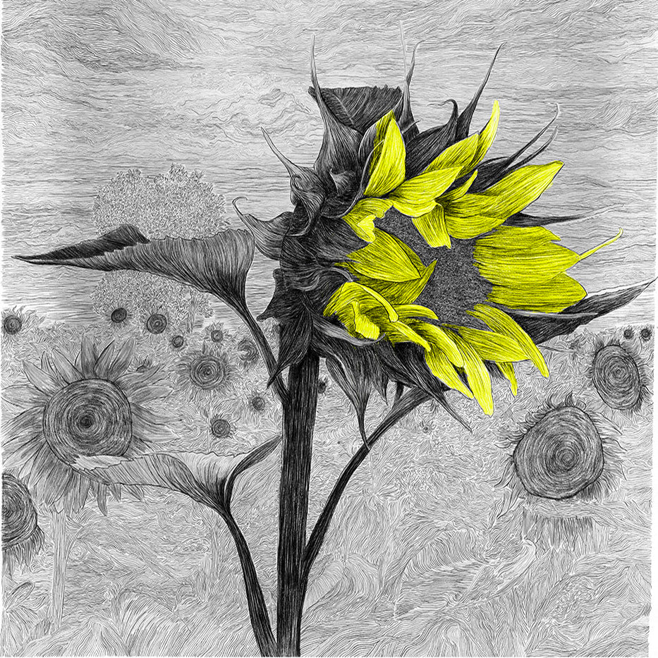 POWER OF THE FLOWER