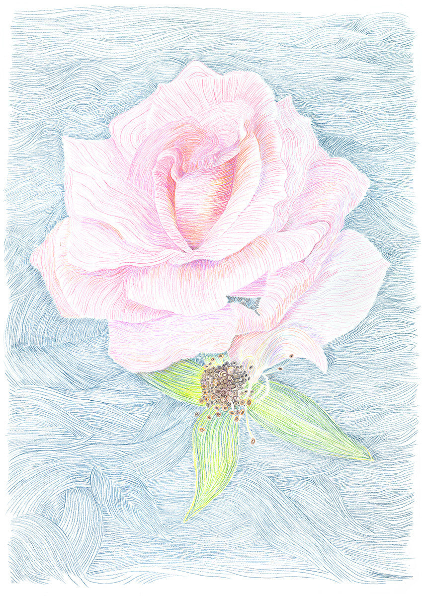 Wild Rose