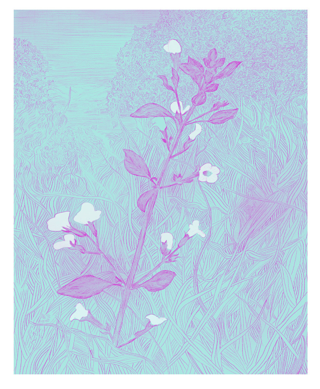 WILD MINT